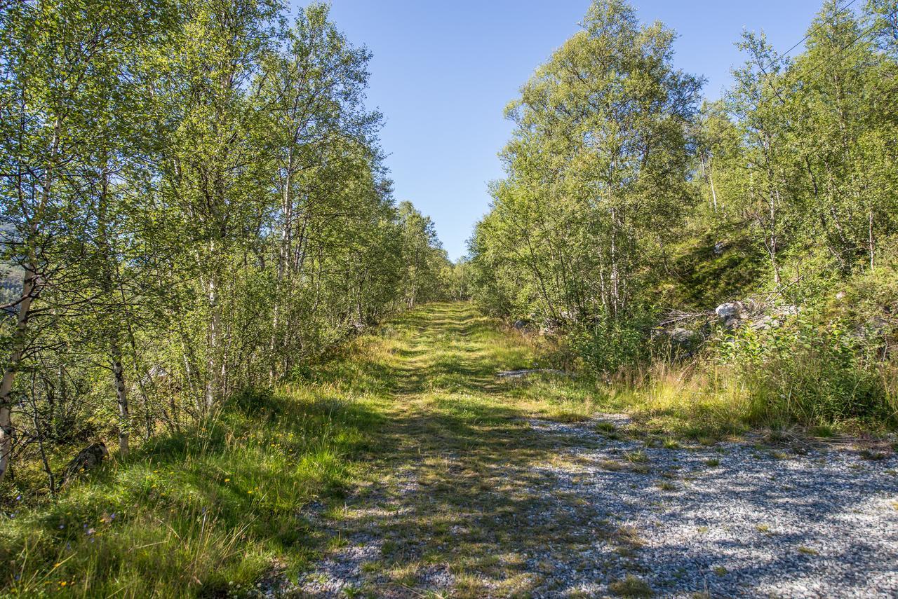 Vila Maristuen Fjellferie Borgund Exteriér fotografie