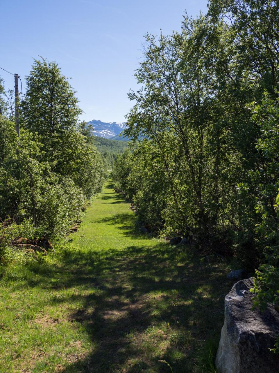 Vila Maristuen Fjellferie Borgund Exteriér fotografie